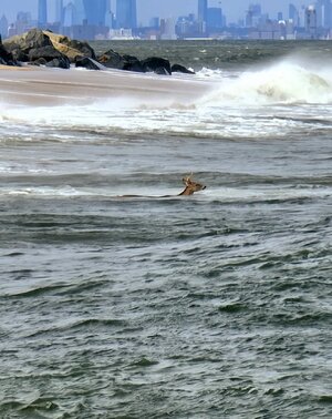 IMG_3840.jpeg