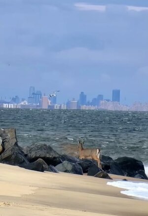 IMG_3841.jpeg