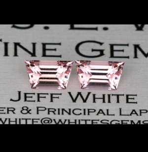 JW_Morganite_Traps.png JW_Morganite_Traps.png