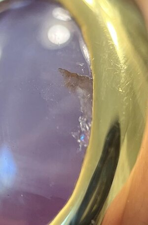 IMG_0972.jpeg