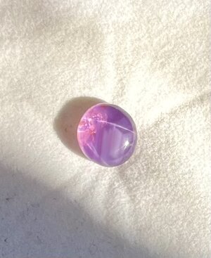 IMG_1259.jpeg