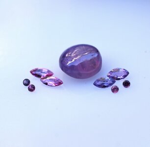 IMG_1393.jpeg