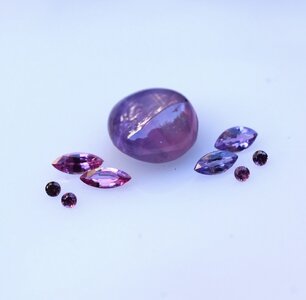 IMG_1392.jpeg
