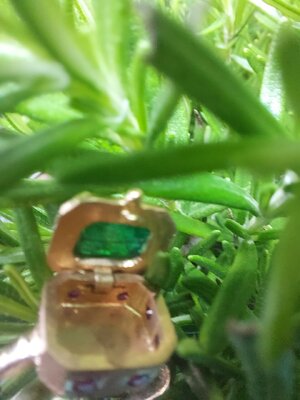 20231105_125458.jpg