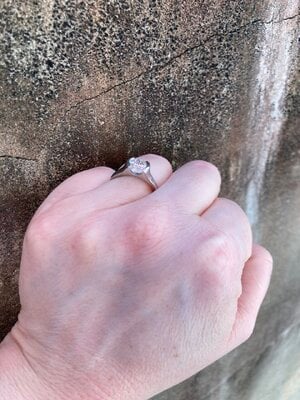 IMG_5998.jpeg