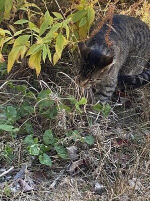 IMG_5513.jpeg