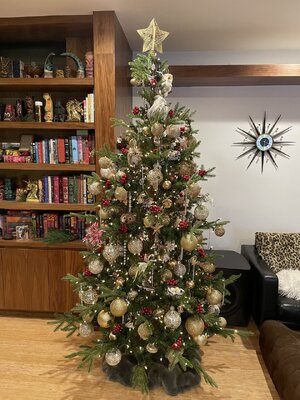 IMG_3026.jpeg