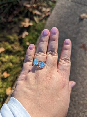 Chasiu Lab Rings.jpg Chasiu Lab Rings.jpg