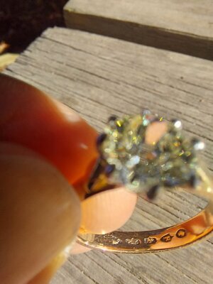 20231125_120628.jpg