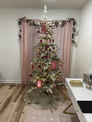 IMG_2144.jpeg