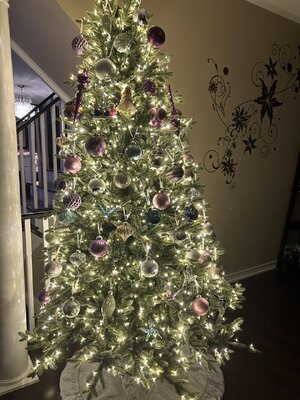 IMG_8534.jpeg