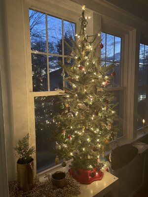 IMG_8397.jpeg