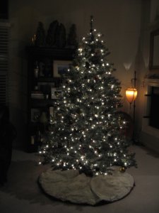 mara downstairs tree 07.jpg