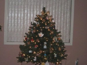 Christmas trees 2007 006_edited.jpg