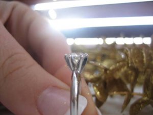 Sideview Ring 016.jpg
