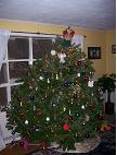 hhXmas tree 001.jpg