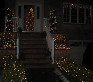 Christmas trees 2007 010_edited.jpg