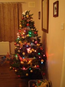 tree1maisie11.jpg