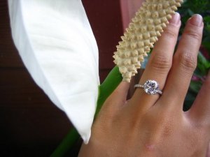 ring1cr.jpg ring1cr.jpg