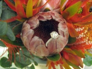 ring7cr.jpg