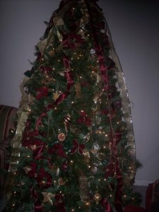 07 Tree 1.JPG