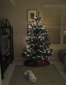 christmas tree pony a 2007.jpg