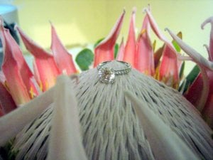 ring9cr.jpg
