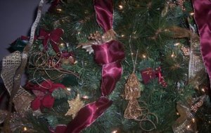 07 tree 3 close up.JPG