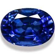 SAP-00856-l.jpg