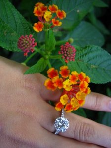 ring2cr.jpg