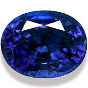 SAP-00781-l.jpg