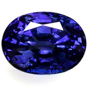 SAP-00723-l.jpg