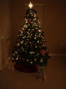 andrewtree5.jpg