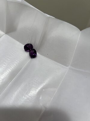 IMG_3734.jpeg