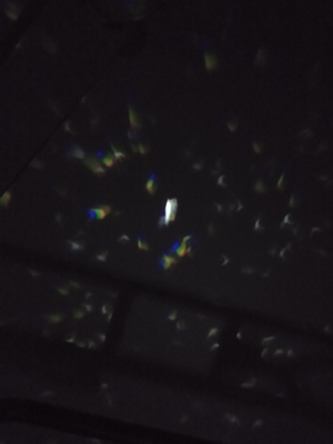 1702454446087.png