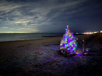 ourbeachholidaytree2023.png