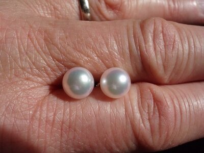 GIA certified Hanadama studs on hand forum size.jpeg