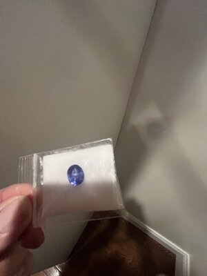 IMG_7349.jpeg