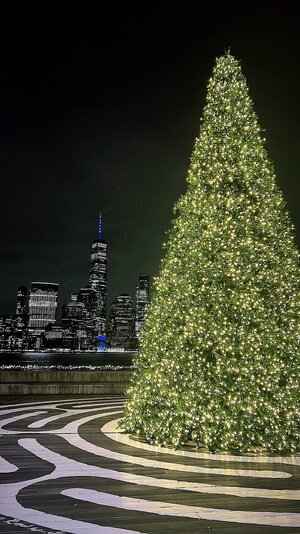 02BD8550-696D-4718-B4D3-0B92852C5822.jpeg