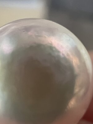 1703740100621.jpeg