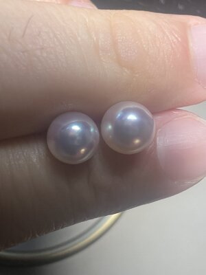 1703741789313.jpeg