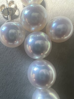 1703742141574.jpeg