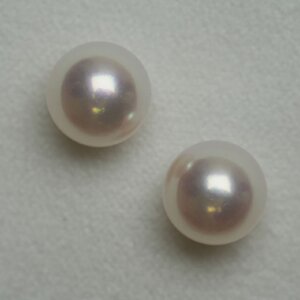 GIA24-8.40and8.48.jpg