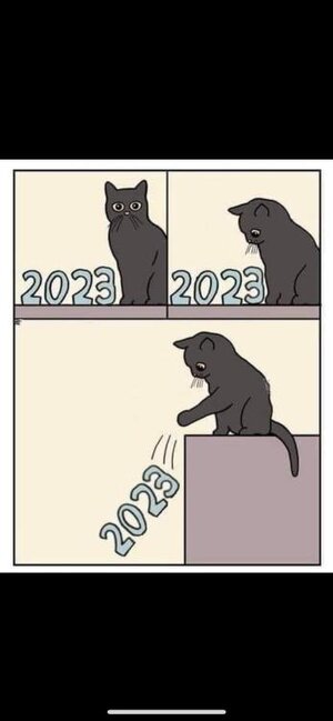 1704049744764.jpeg