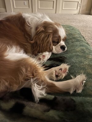 IMG_0926.jpeg
