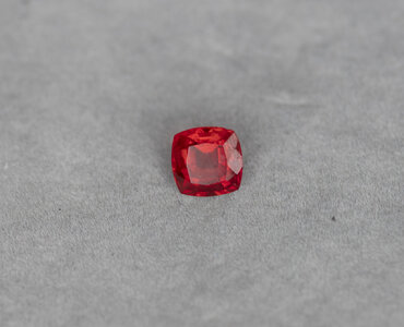 DSC_2528.jpg