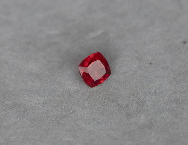 DSC_2529.jpg