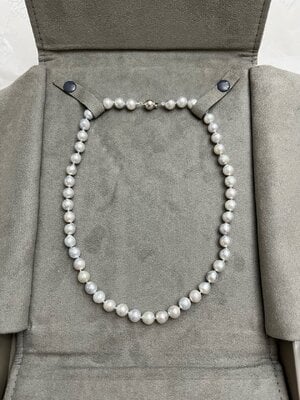 Original Strand 1.jpg