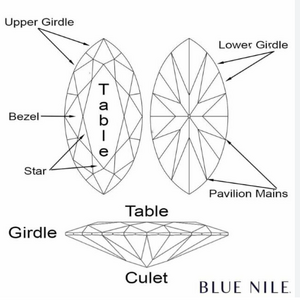 8 main off diagram.png