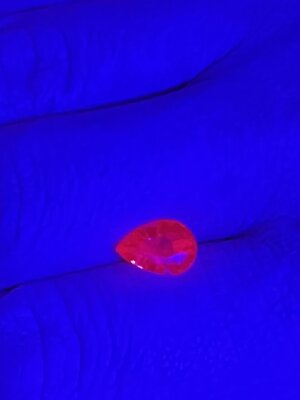 IMG_8048.jpeg